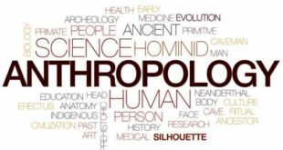Definsi Antropologi Pengertian Jenis Cakupan Kajian Kegiatan Antropolog