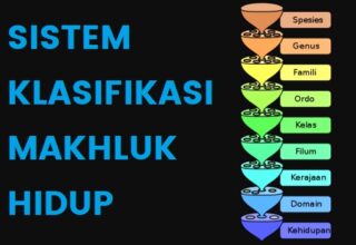 Sistem Klasifikasi Makhluk Hidup, Aturan, Tingkatan dan Tujuan Penamaan Ilmiah