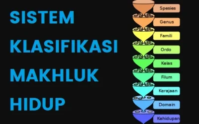 Sistem Klasifikasi Makhluk Hidup, Aturan, Tingkatan dan Tujuan Penamaan Ilmiah