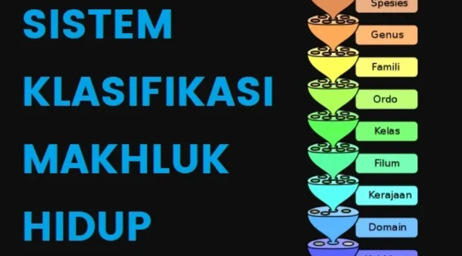 Pengertian Sistem Klasifikasi Makhluk Hidup Aturan Tingkatan Tujuan Penamaan Ilmiah