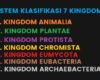 Sistem Klasifikasi Kingdom, Perkembangan Klasifikasi Ilmiah Makhluk Hidup 2 – 7 Kingdom