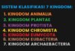 Perkembangan Sistem Klasifikasi Kingdom Penamaan Ilmiah Makhluk Hidup