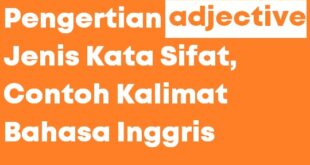 Pengertian Adjective Jenis Contoh Kalimat Kata Sifat Bahasa Inggris