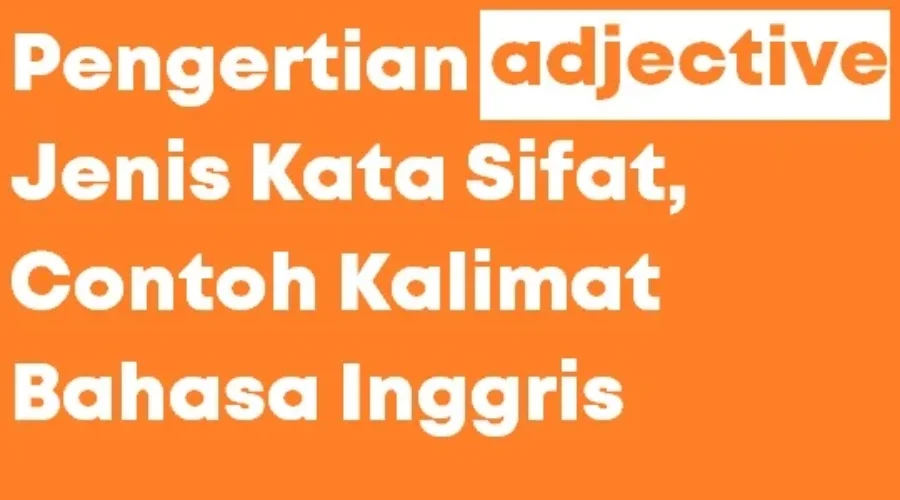 Pengertian Adjective Jenis Contoh Kalimat Kata Sifat Bahasa Inggris