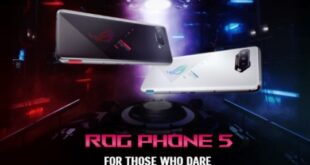 Asus ROG Phone 5 RAM 8 GB dan RAM 12 GB, Mana Yang Terbaik
