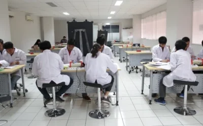 Membangun Karier di Bidang Keberlanjutan Melalui Jurusan Teknik Lingkungan Universitas Pertamina