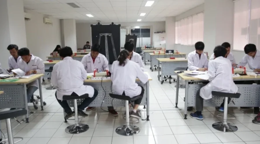 Membangun Karier di Bidang Keberlanjutan Melalui Jurusan Teknik Lingkungan Universitas Pertamina