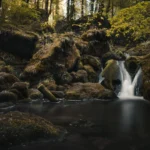 Tips Wisata Alam Tersembunyi di Sekitar Kulon Progo